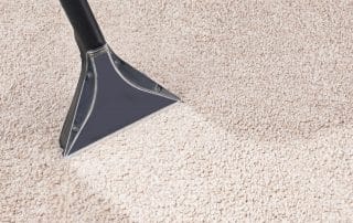 Closeup of carpet cleaner removing moisture from carpet