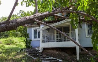 Fallen tree after hard storm on a damaged house