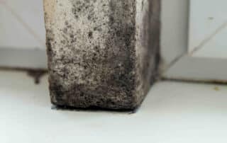 Mold Growing on the Window sill of a Home