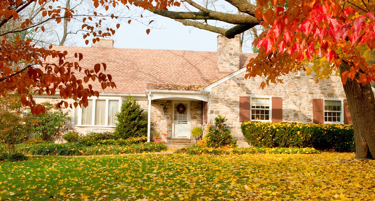 Exterior and front yard of a home with autumn trees