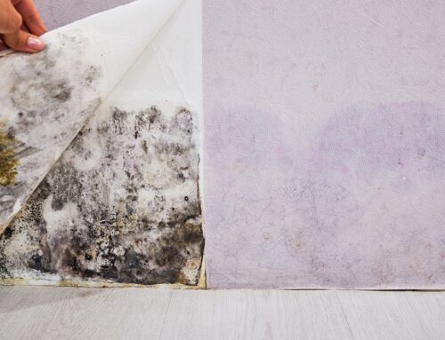 Fast, Reliable Flood Cleanup When You Need It Most